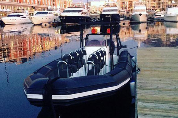 Gemini 850 1 Hour Boat Adventure, private yacht charter Cape Town