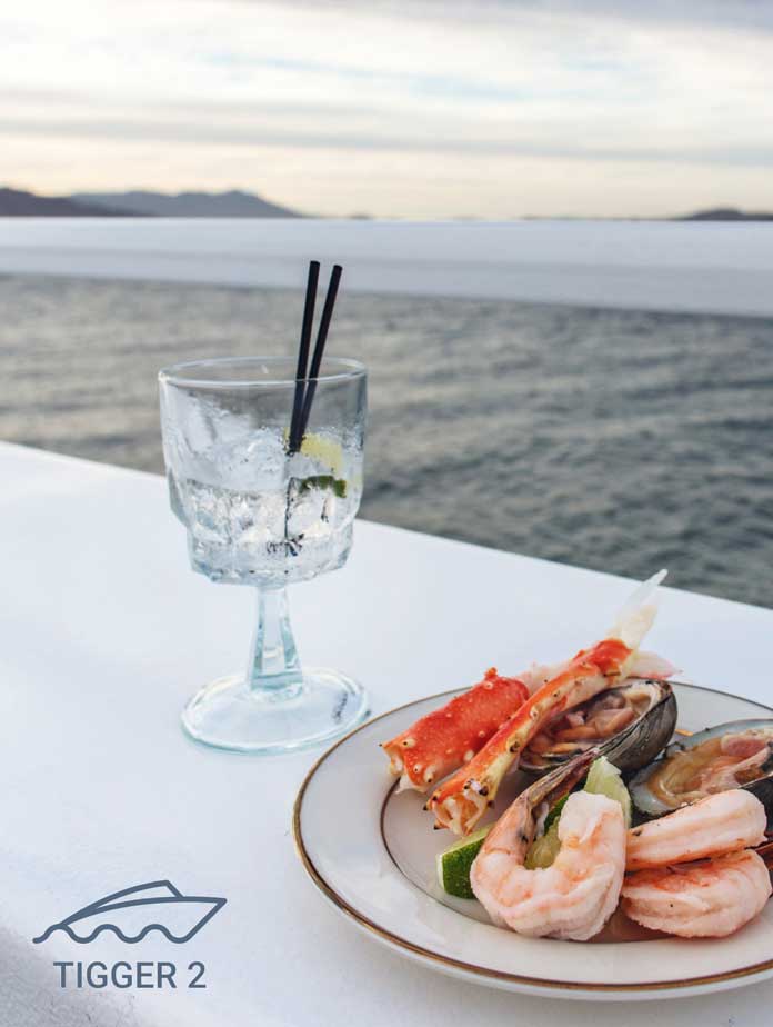 2 Hour Sunset - Tigger 2 Royale Power Catamaran, private yacht charter Cape Town