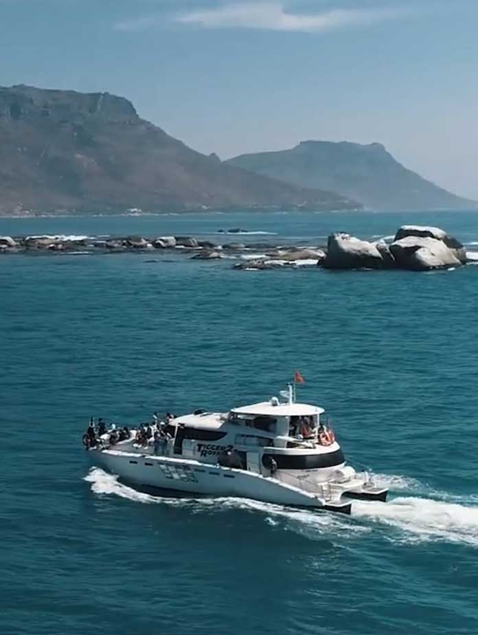 2 Hour Sunset - Tigger 2 Royale Power Catamaran, private yacht charter Cape Town