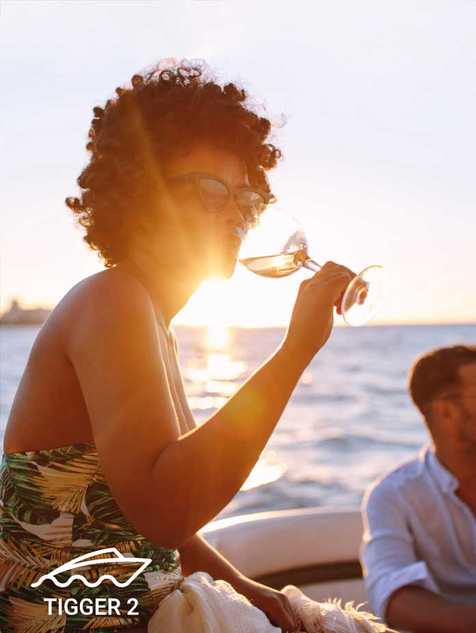2 Hour Sunset - Tigger 2 Royale Power Catamaran, private yacht charter Cape Town