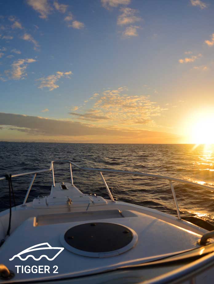 2 Hour Sunset - Tigger 2 Royale Power Catamaran, private yacht charter Cape Town