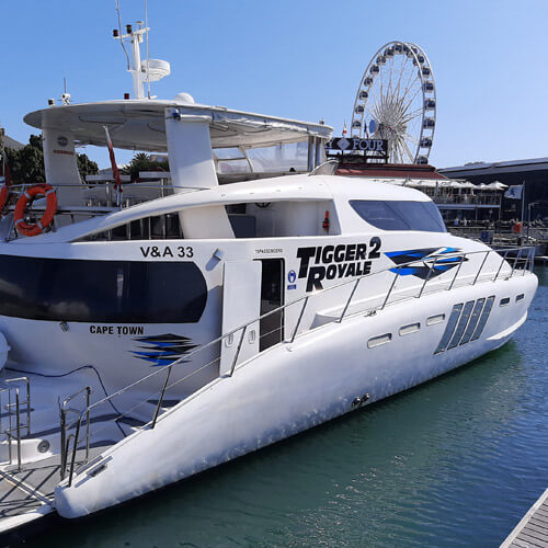 Tigger 2 Royale Private Catamaran Charter, Cape Town