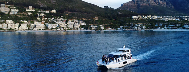 Tigger 2 Royale Private Catamaran Charter, Cape Town