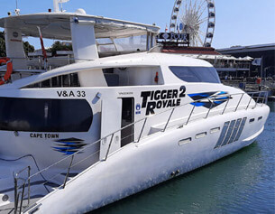 Tigger 2 Royale Private Catamaran Charter, Cape Town