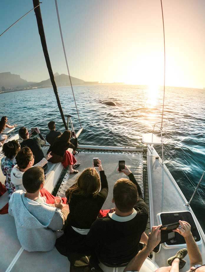 4 hour - Enigma Catamaran, private yacht charter Cape Town