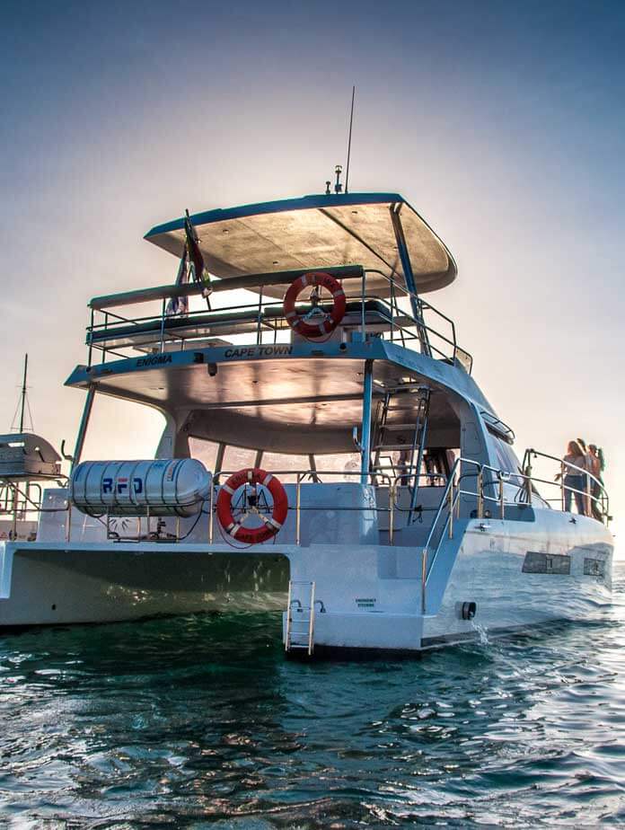 4 hour - Enigma Catamaran, private yacht charter Cape Town