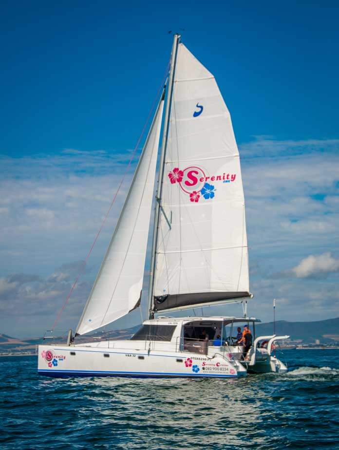 2 Hour - Serenity One, private yacht charter Cape Town